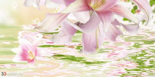 Плитка Belani Фрезия декор Лилия-2 25*50 (7шт/уп)