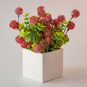 Композиция/цветы 288 Добавна+Эвкалипт пепельный /ящик