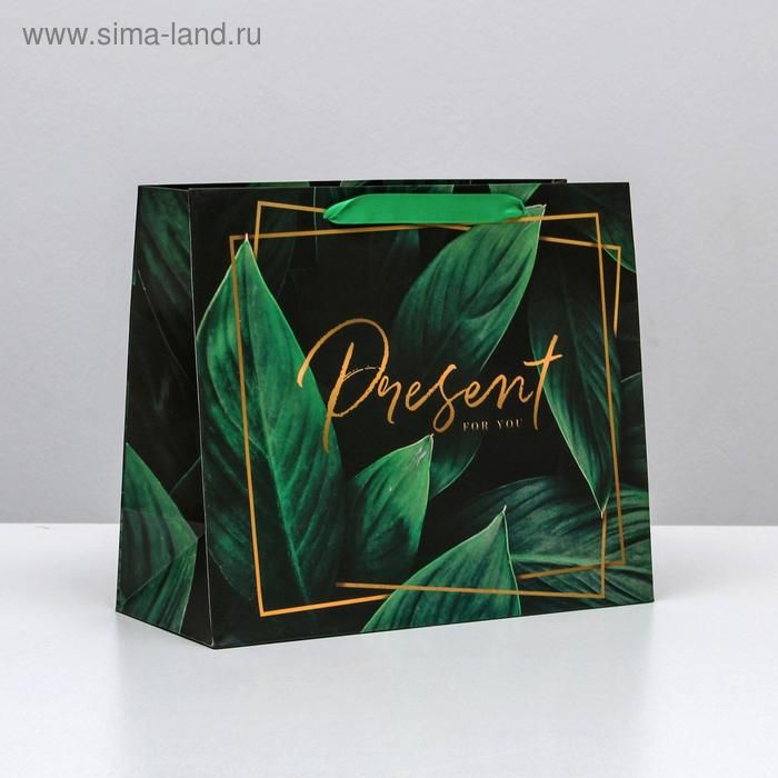 Пакет "Prersent for you" ML 23*27*11.5см 