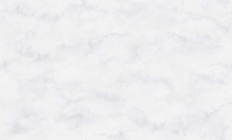 Обои Erismann 60402-02 Naom 1,06*10,05м 6шт/уп горяч.тесн.