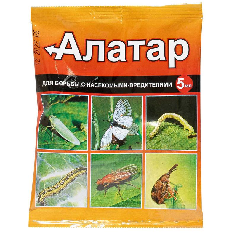 СР Алатар ВХ 5мл пакет(к/жук,тля,белокрылка)