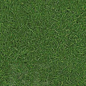 Линолеум NEO GRASS 25C (ширина 3,0м) IVC