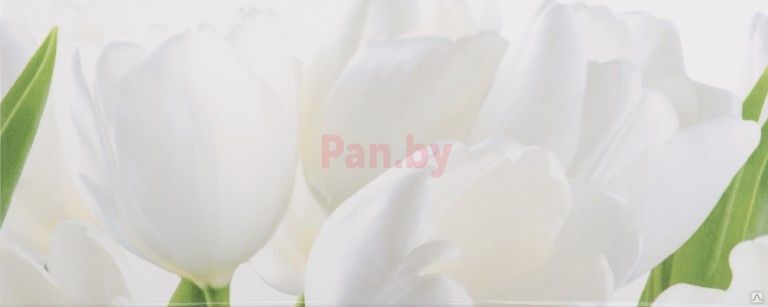 Плитка Ялта 1 20*50 Tulip W