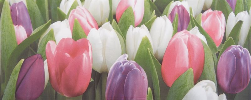 Плитка Ялта 20*50 Tulip Mini PN