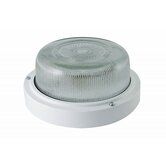 Светильник НПП 03-100-003 металл IP65 TDM