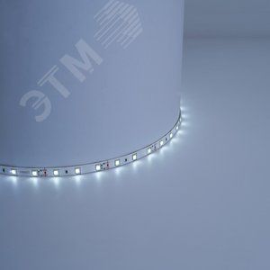 Лента св. LEDX60 5м 4,8w 12в IP65 дневной
