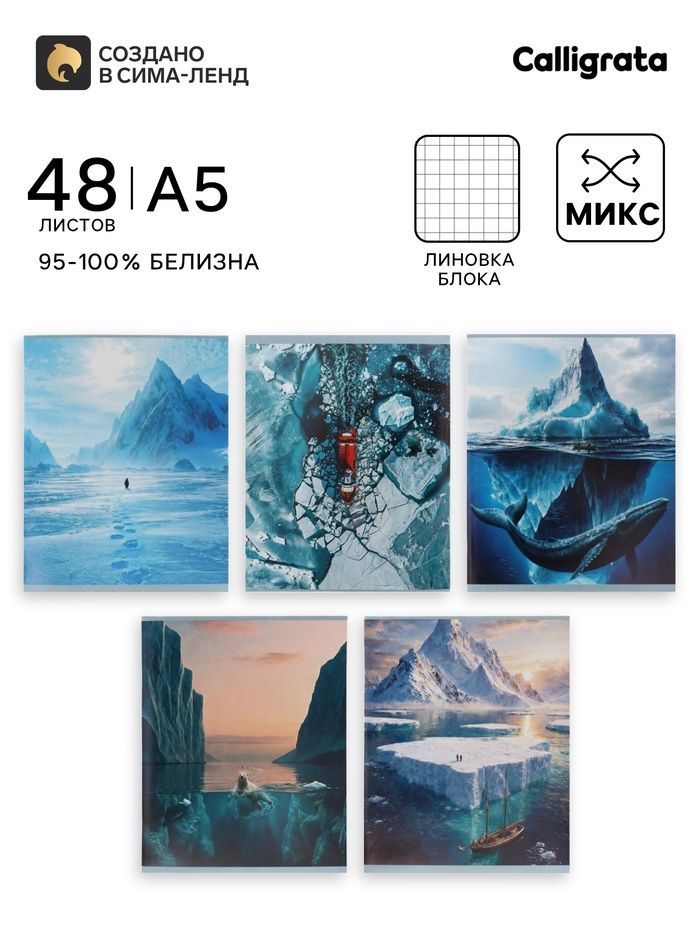 Тетрадь 48 л. в клетку Calligrata «Антарктида», МИКС