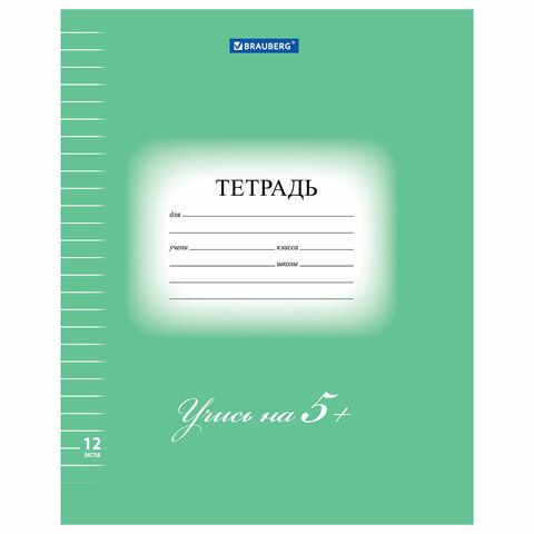 Тетрадь 12л в линию BRAUBERG ЭКО "5-КА"