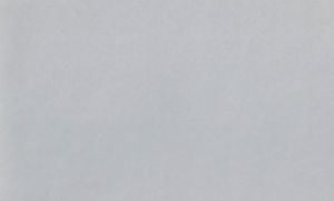 Обои Жаккард PP71649-66 (8) на ФО ГТ1.06*10м